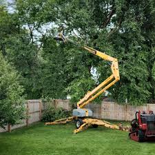 Best Sod Installation  in Buckley, WA