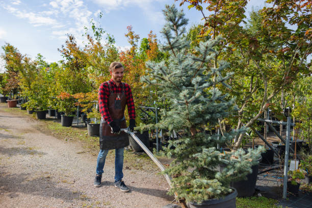 Best Lawn Watering Services  in Buckley, WA